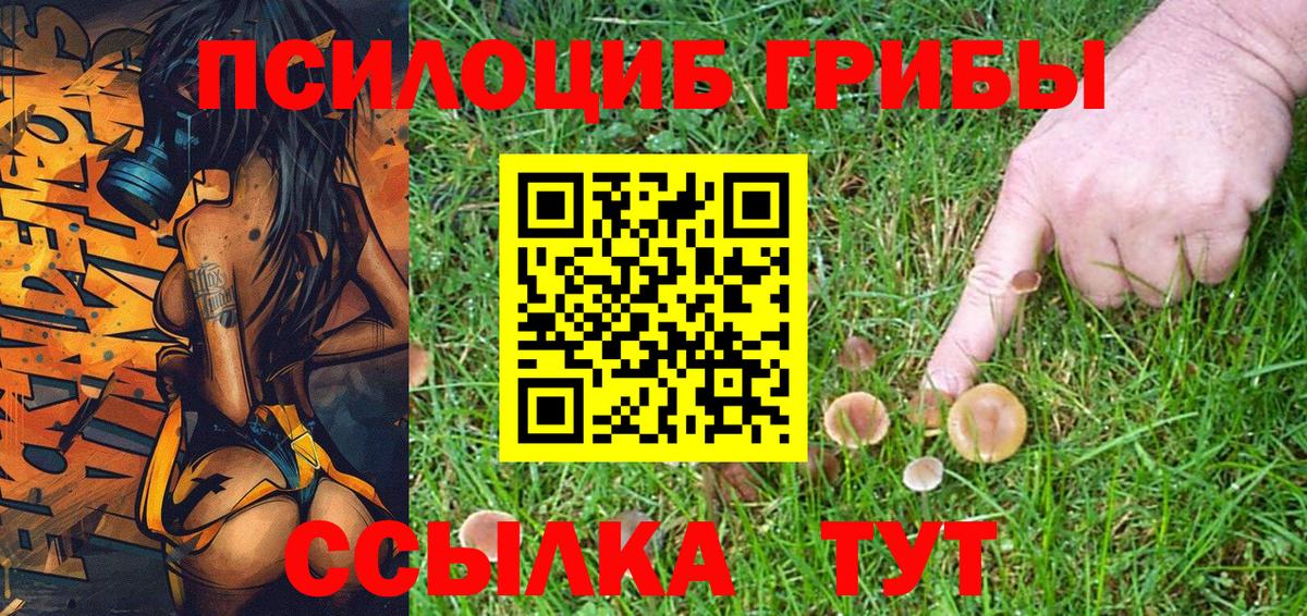Топки  Псилоцибиновые грибы GOLDEN TEACHER  Вход с VPN 