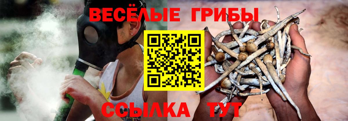 Псилоцибиновые грибы ЛСД Топки